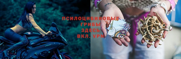 хмурый Новокубанск