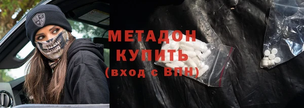 ПСИЛОЦИБИНОВЫЕ ГРИБЫ Новозыбков