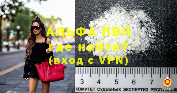 ПСИЛОЦИБИНОВЫЕ ГРИБЫ Новозыбков