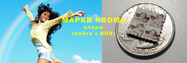 ПСИЛОЦИБИНОВЫЕ ГРИБЫ Новозыбков