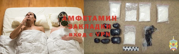 ПСИЛОЦИБИНОВЫЕ ГРИБЫ Новозыбков