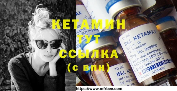 ПСИЛОЦИБИНОВЫЕ ГРИБЫ Новозыбков