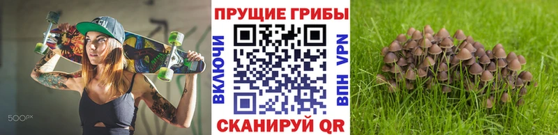 продажа наркотиков  Сокол  Галлюциногенные грибы ЛСД 